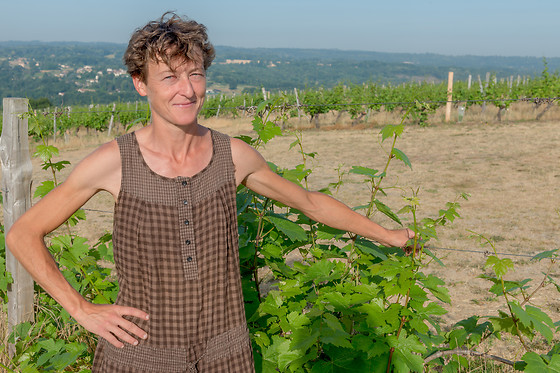 Dégustation vins aux Vignerons de Verneuil à Verneuil-sur-Vienne (87)