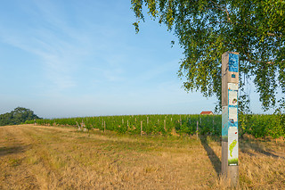 Dégustation vins aux Vignerons de Verneuil à Verneuil-sur-Vienne (87)