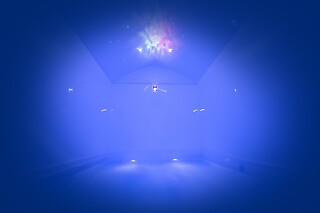 Une séance de flottaison pour deux chez Body Float à Villeneuve-d'Ascq (59)