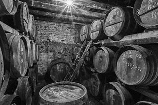 Visite et dégustation de Cognac à Saint-Saturnin (16) - Visite / Dégustation, les secrets du cognac  - 1h30