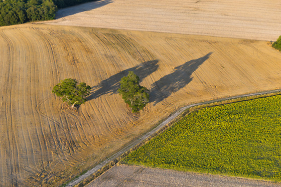 Art Montgolfières - photo 6