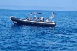 Sortie en semi-rigide baleines et escale Porquerolles, de Bandol