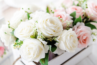6 mois de fleurs