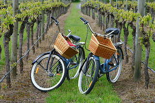 Balade à vélo dans les chemins de vigne et dégustation - Beaune Vélo Tour - Beaune (21)
