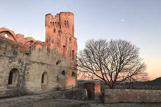 Billet pour l'Abbaye de Montmajour (13)