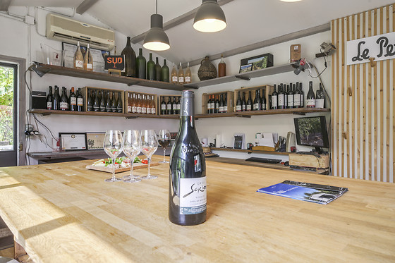 Dégustation pour 2 au Clos Sorian à Montpellier (34)