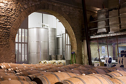 BODEGA OLIVERA