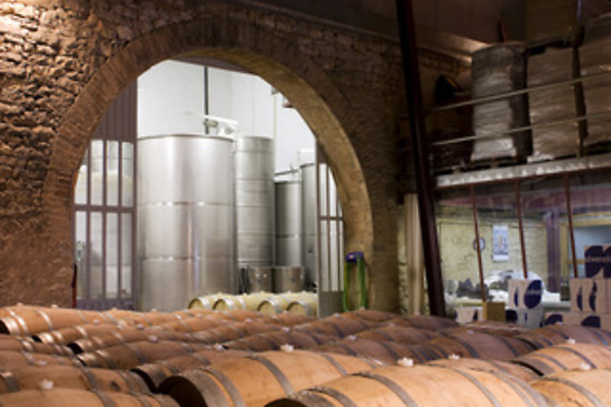 BODEGA OLIVERA - photo 3
