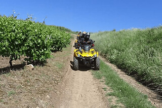Randonnée Buggy à Couches dans les vignobles bourguignons - Randonnée Buggy Plaisir - 1 heure