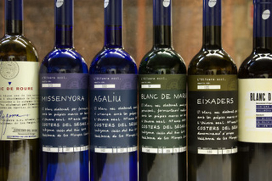 BODEGA OLIVERA - photo 4
