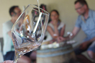 Dégustation pour deux de 5 vins au Château de Nestuby à Cotignac (83)