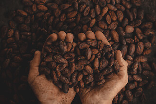 Atelier vins et chocolats au Musée du Vin et du Négoce (33)