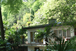 Hotel Collinetta
