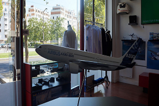 FLIGHT in PARIS - photo 3