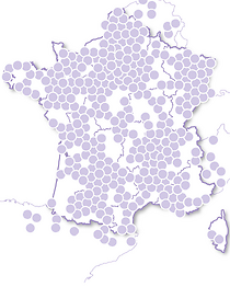 Félicitations aux mariés Rêve