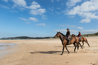 Bonheurs en duo