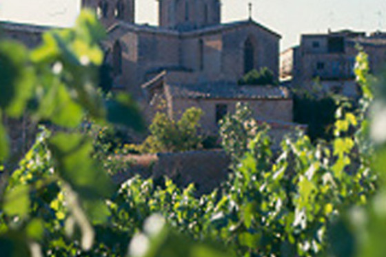 BODEGA OLIVERA - photo 0