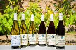 Domaine Besancenot