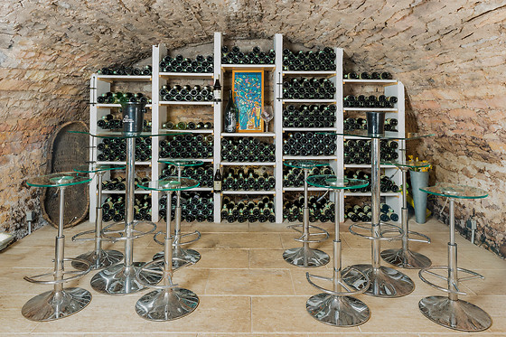 Domaine Besancenot - photo 10
