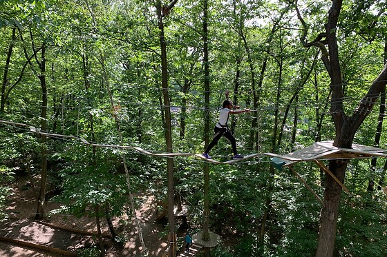AccroCamp SAS - photo 14