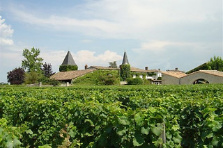 Atelier vigneron interactif pour 2 chez Œnanim à Saint-Emilion (33)