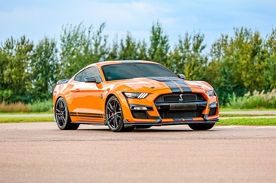 Découverte Ford Mustang Shelby GT500 (3 tours) sur le Circuit du Var (83)