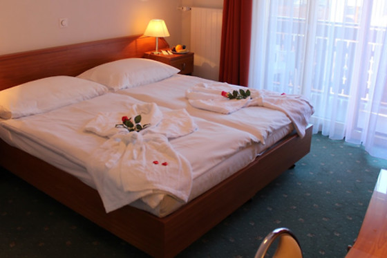 Hotel Elite Zermatt*** - photo 4