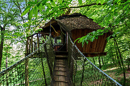 L'Arbre à Cabane