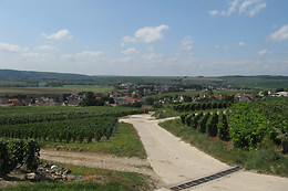 Champagne Pierre Laurent