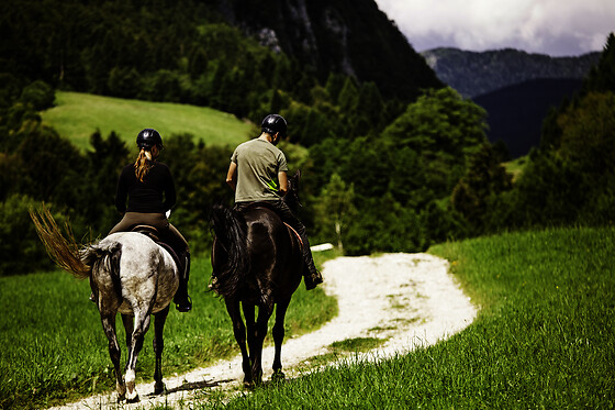 Balade à cheval en duo