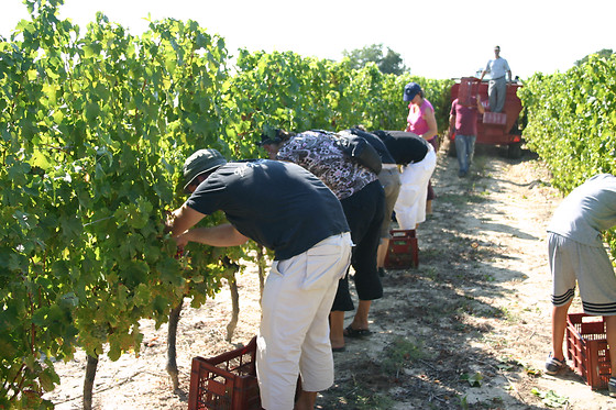 Domaine de Montels - photo 2