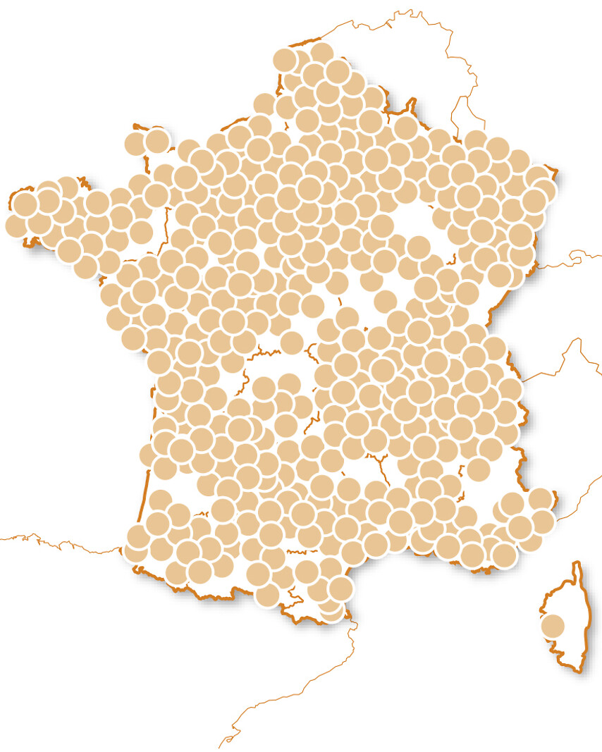 Happy Merci