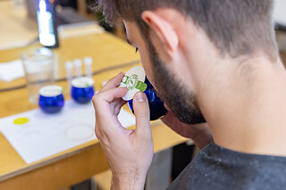 Atelier dégustation et assemblage d'huile d'olive à Paris 20e