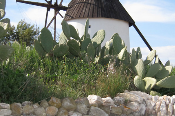 ECOAGATA - photo 1