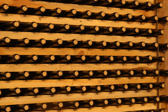 Antichi Vigneti di Cantalupo - photo 12