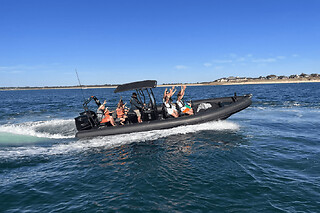 Croisière découverte 3h dans le Golfe du Morbihan