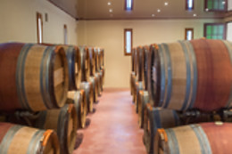 BODEGAS PAGO DE ALMARAES