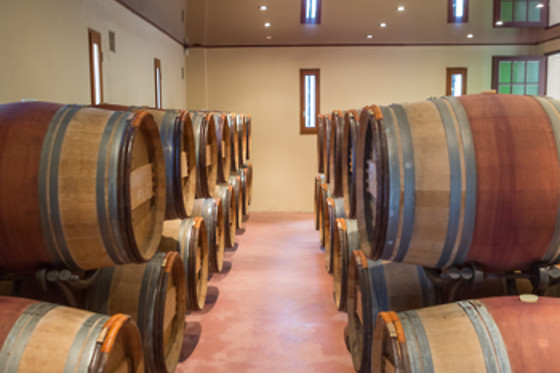 BODEGAS PAGO DE ALMARAES - photo 8