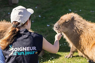 Soigneur d'un jour au parc Parrot World - Adulte