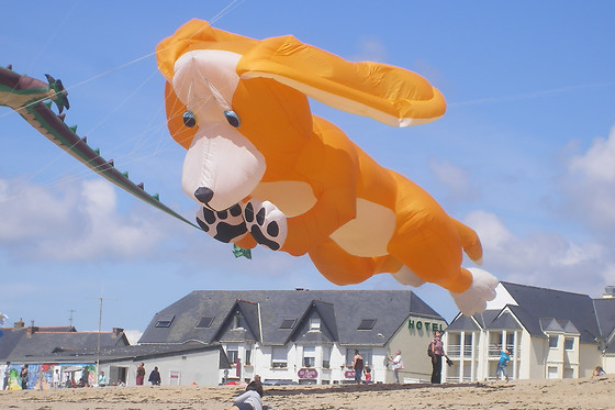 Les Chants d'Ailes - photo 16