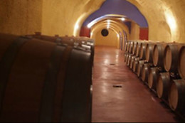 BODEGAS PAGO DE ALMARAES