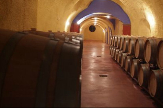 BODEGAS PAGO DE ALMARAES - photo 3