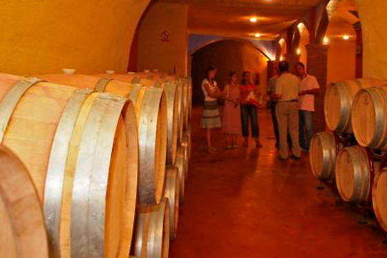 BODEGAS PAGO DE ALMARAES - photo 5