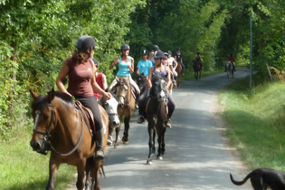 Un Poney, une histoire - photo 5