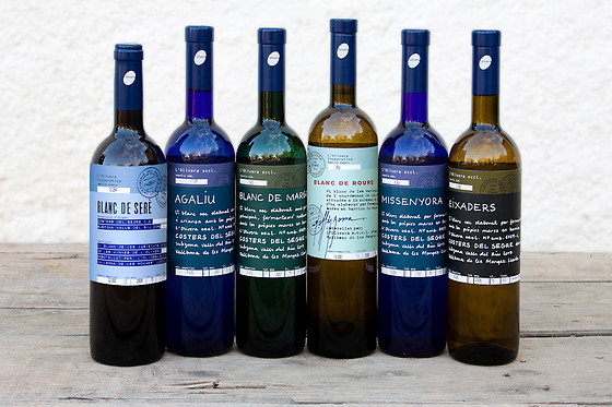 BODEGA OLIVERA - photo 5