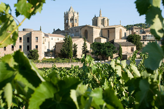 BODEGA OLIVERA - photo 2