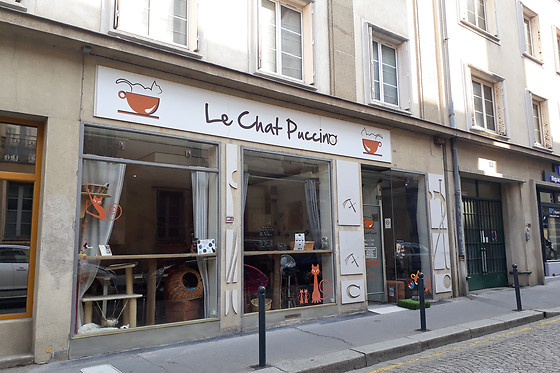 Le chat puccino - photo 10