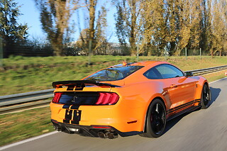 Découverte Ford Mustang Shelby GT500 (6 tours) sur le Circuit du Bourbonnais (03)