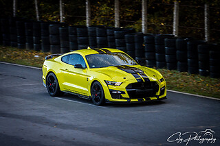 Découverte Ford Mustang Shelby GT500 (6 tours) sur le Circuit du Bourbonnais (03)