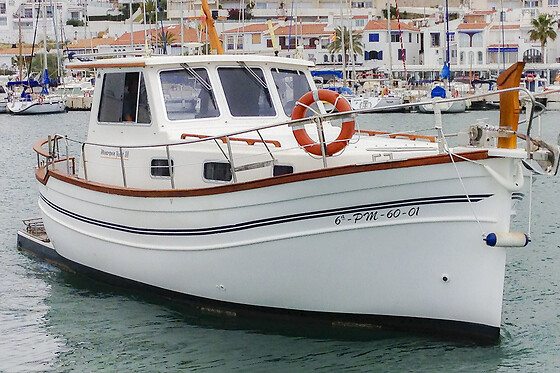 SURCANDO MARES - photo 0